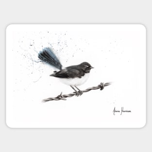 Centenary Willy Wagtail Sticker